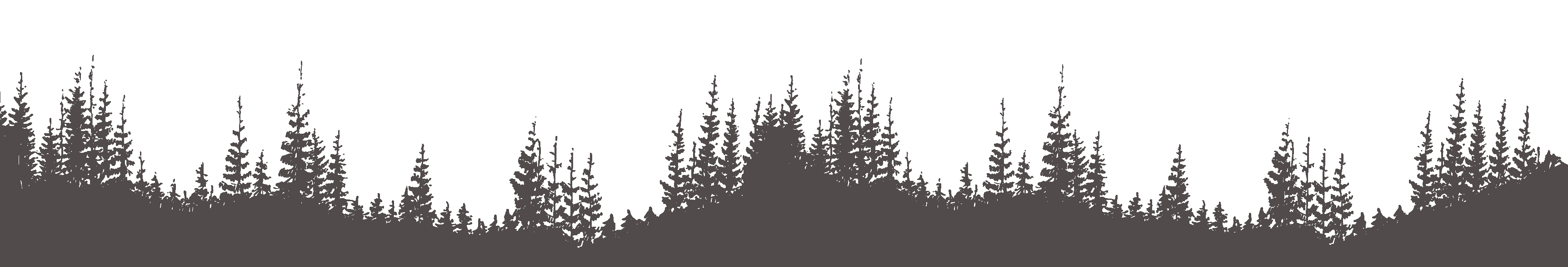 stromy-hoska-chta-snezna-pata-velke-stromy
